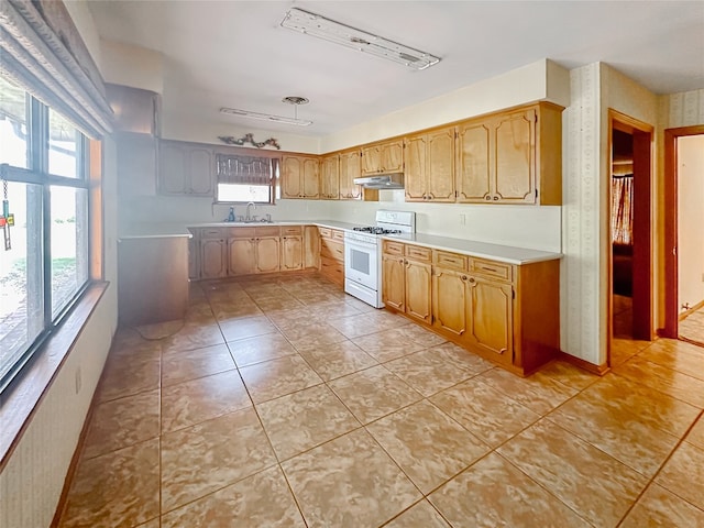 419 N Knox Ave, Giddings, TX 78942 - photo 4