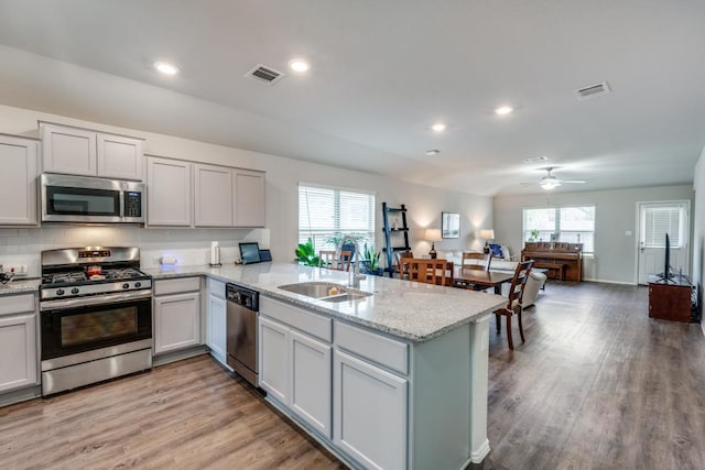 299 Andesite Trl, Buda, TX 78610 - kitchen featuring stainless steel appliances, a peninsula, a sink, healthy amount of natural light, and recessed lighting