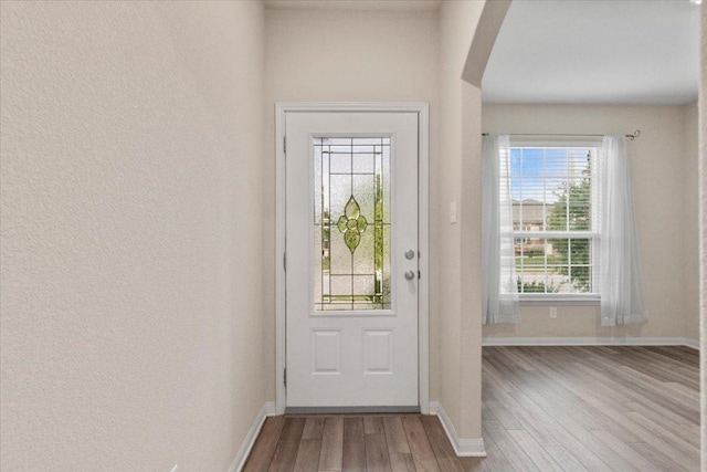 321 Freedom Park Ave, Liberty Hill, TX 78642 - doorway featuring wood finished floors, arched walkways, healthy amount of natural light, and baseboards