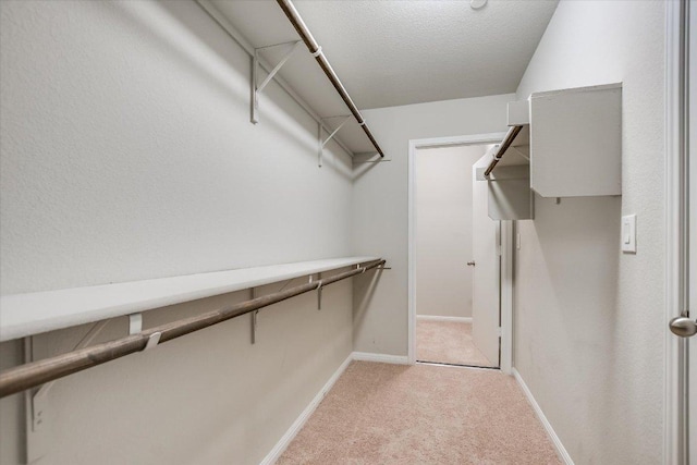 516 E Slaughter Ln Unit 1203, Austin, TX 78744 - walk in closet featuring light carpet