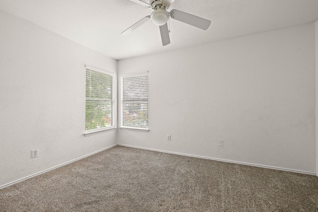 1025 Canterbury Trl, Georgetown, TX 78626 - photo 18