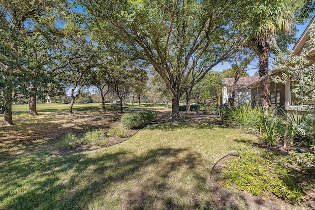 214 Lone Star Dr, Georgetown, TX 78633 - view of green lawn