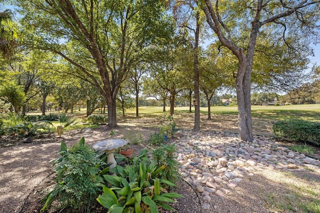 214 Lone Star Dr, Georgetown, TX 78633 - view of yard