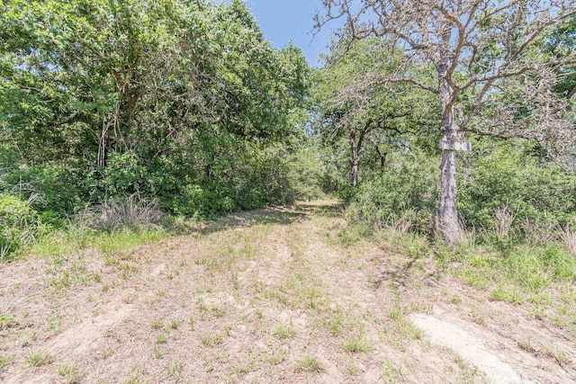 1182 County Road 438th Rd, Harwood, TX 78632