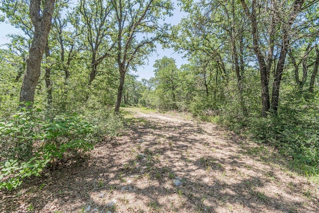 1182 County Road 438th Rd, Harwood, TX 78632