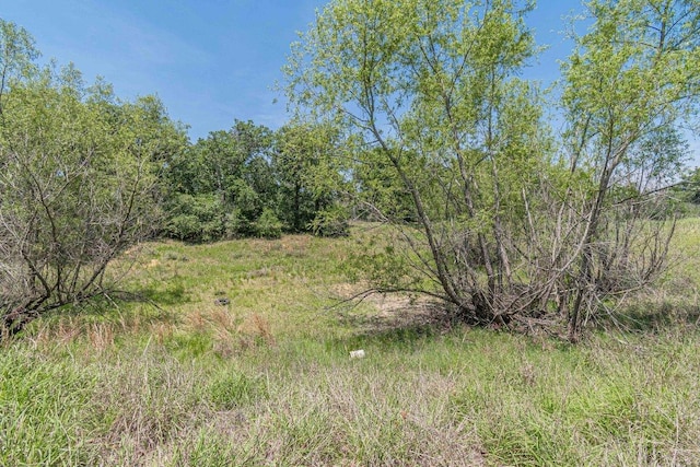 1182 County Road 438th Rd, Harwood, TX 78632