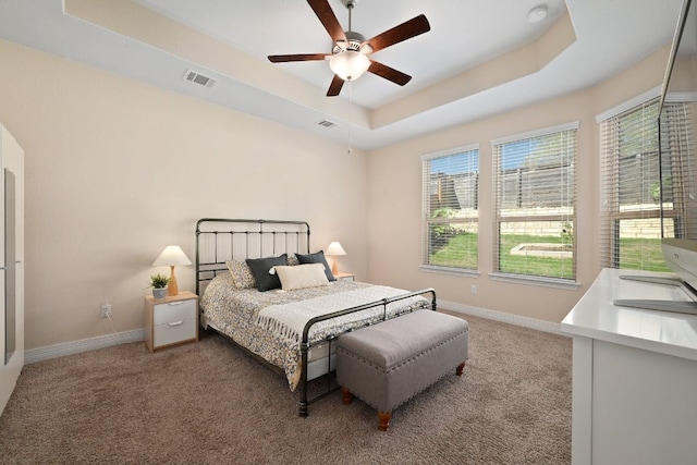 6321 Llano Stage Trl, Austin, TX 78738 - carpeted bedroom featuring a tray ceiling, multiple windows, and baseboards