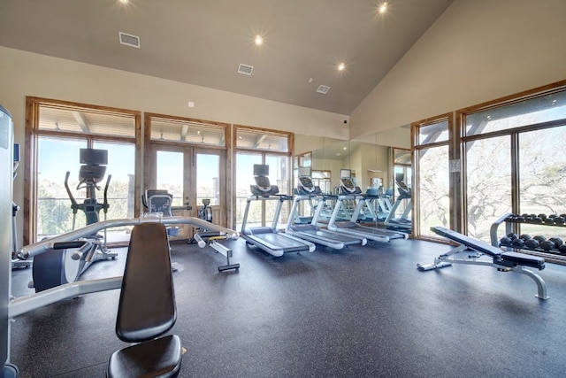 6321 Llano Stage Trl, Austin, TX 78738 - gym with french doors, recessed lighting, and high vaulted ceiling