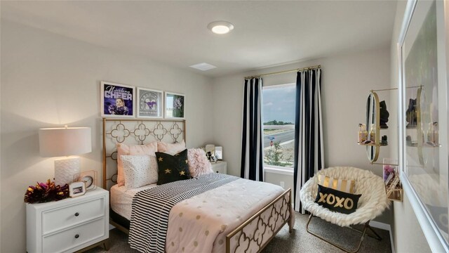 100 Heatherwood Ter, Marble Falls, TX 78654 - bedroom featuring dark carpet