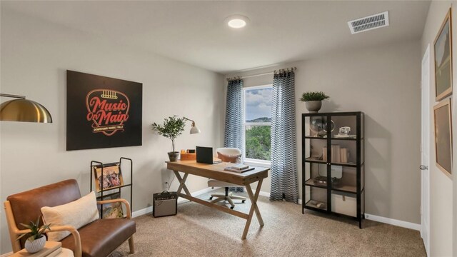 100 Heatherwood Ter, Marble Falls, TX 78654 - carpeted home office featuring baseboards