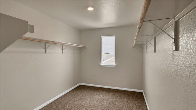100 Heatherwood Ter, Marble Falls, TX 78654 - spacious closet with carpet flooring