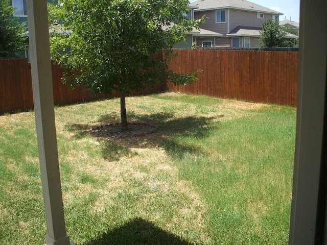 10506 Wylie Dr Unit 276, Austin, TX 78748 - view of yard