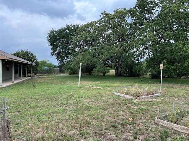100 Acorn Trl, Cedar Creek, TX 78612 - view of green lawn featuring a vegetable garden