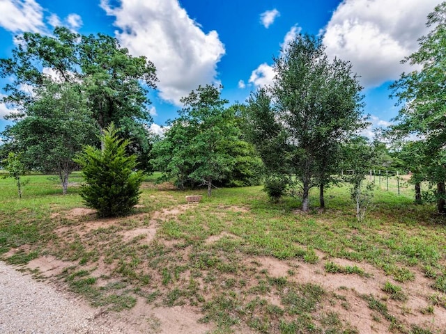 160 Radcliff Ln, Harwood, TX 78953 - photo 3