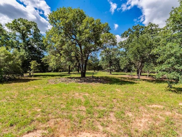 160 Radcliff Ln, Harwood, TX 78953 - photo 4