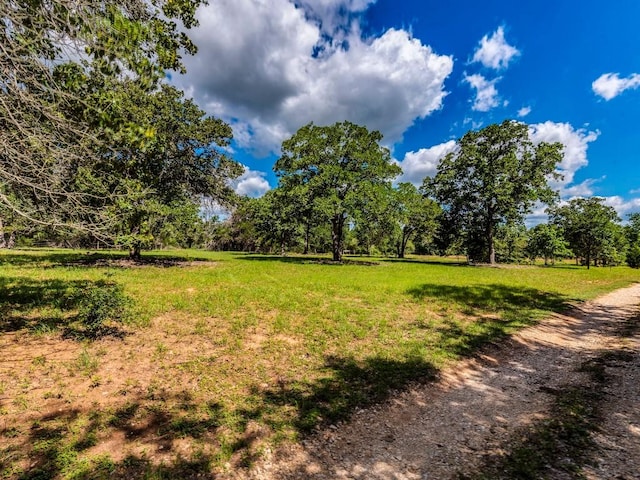 160 Radcliff Ln, Harwood, TX 78953 - photo 5