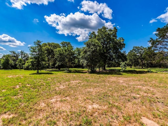 160 Radcliff Ln, Harwood, TX 78953 - photo 6