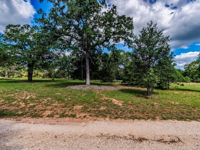 160 Radcliff Ln, Harwood, TX 78953 - photo 7