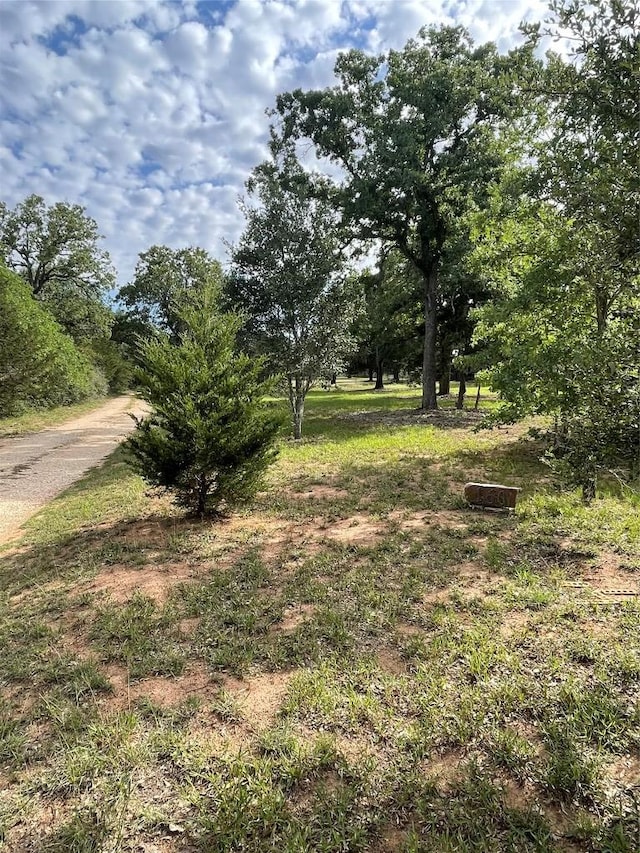 160 Radcliff Ln, Harwood, TX 78953 - photo 8