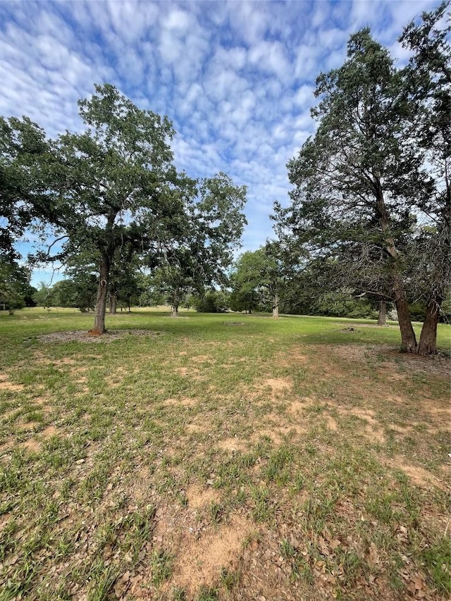 160 Radcliff Ln, Harwood, TX 78953 - photo 9