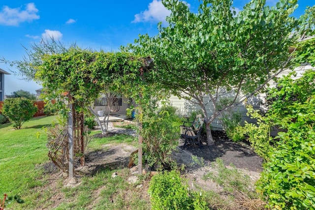 512 Canadian Springs Dr, Leander, TX 78641 - view of green lawn