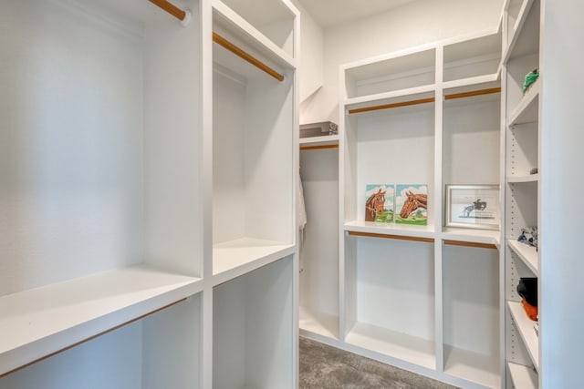 1433 Althaus Ranch Rd, Johnson City, TX 78636 - view of walk in closet