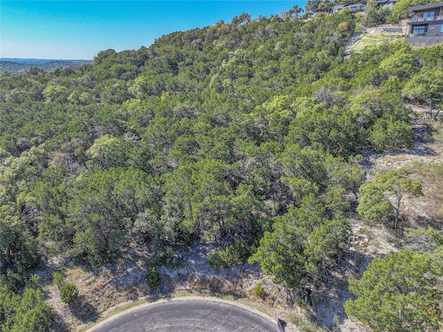 8608 Kelly Cv, Lago Vista, TX 78645