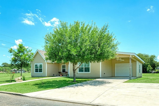 2409 Pecan St, Bastrop, TX 78602 - view of property hidden behind natural elements featuring a front lawn, concrete driveway, an attached garage, and a carport