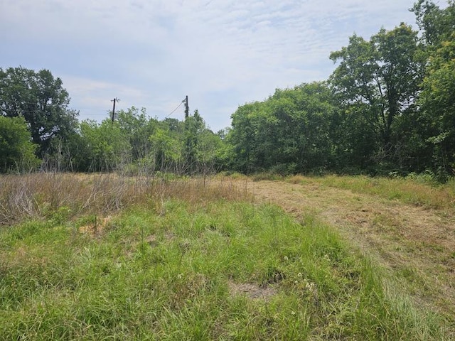 953 Lower Elgin Rd, Elgin, TX 78621 - photo 11