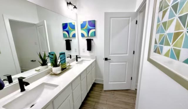 2585 Jack Nora Way, Round Rock, TX 78665 - bathroom with wood finished floors and double vanity