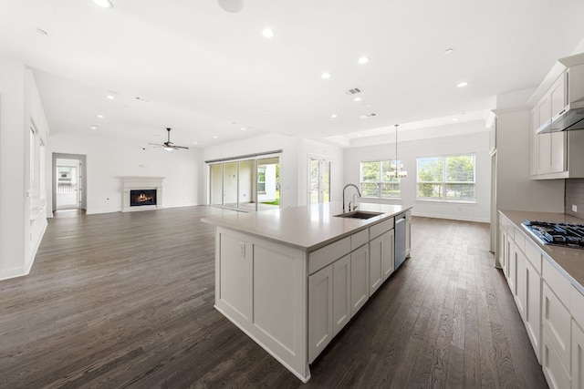 1928 Portobello Rd, Leander, TX 78641 - kitchen featuring stainless steel appliances, a lit fireplace, dark wood-style flooring, an island with sink, and a ceiling fan