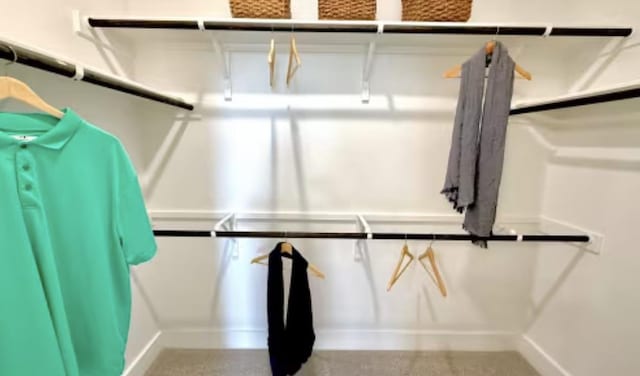 2593 Jack Nora Way, Round Rock, TX 78665 - view of spacious closet