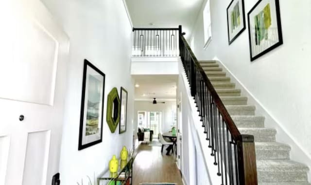 2593 Jack Nora Way, Round Rock, TX 78665 - staircase featuring a high ceiling and wood finished floors