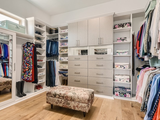 240 Townes Ct, Dripping Springs, TX 78620 - spacious closet with light wood finished floors