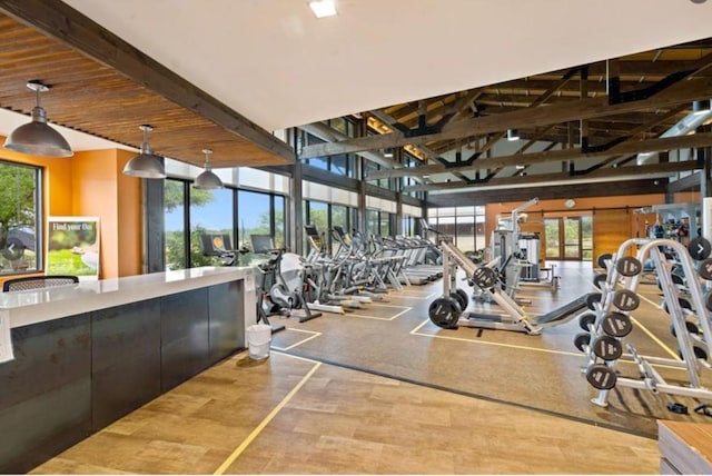 240 Townes Ct, Dripping Springs, TX 78620 - workout area with healthy amount of natural light and vaulted ceiling