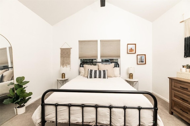 311 Quarry St, San Marcos, TX 78666 - bedroom featuring carpet floors, baseboards, and high vaulted ceiling
