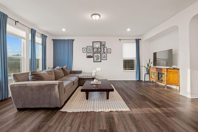 209 Sage Derby Dr, Hutto, TX 78634 - living area with wood finished floors, recessed lighting, arched walkways, and baseboards