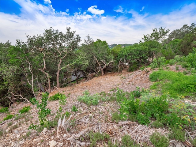 6219 Ledge Mountain Dr, Austin, TX 78731