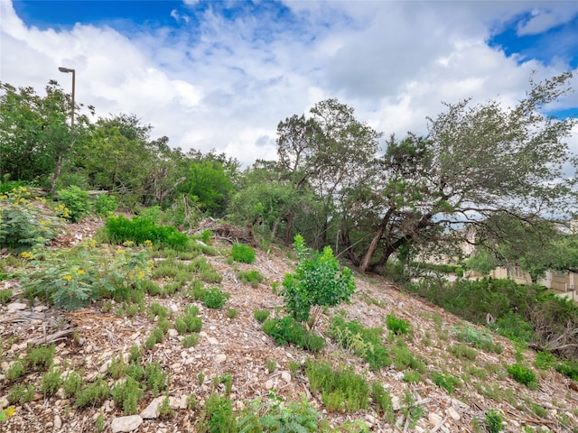 6219 Ledge Mountain Dr, Austin, TX 78731