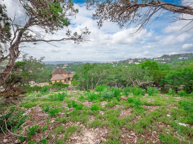 6219 Ledge Mountain Dr, Austin, TX 78731