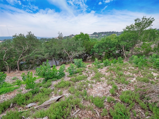 6219 Ledge Mountain Dr, Austin, TX 78731