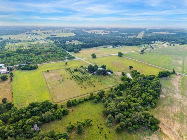4451 County Road 467, Elgin, TX 78621 - aerial view of sparsely populated area featuring agricultural land