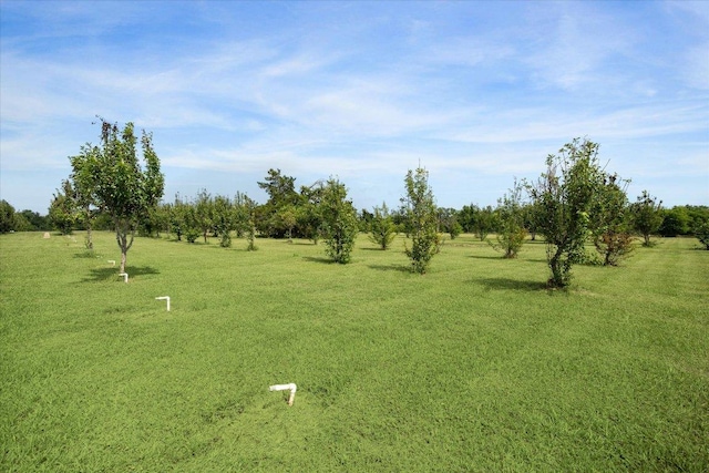 4451 County Road 467, Elgin, TX 78621 - view of community with a lawn