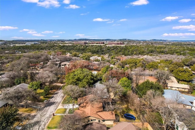 2502 Spring Creek Dr, Austin, TX 78704 - photo 40