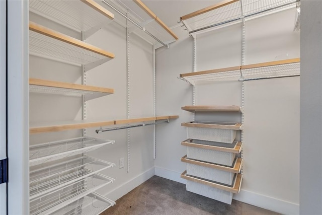 2502 Spring Creek Dr, Austin, TX 78704 - spacious closet featuring carpet floors