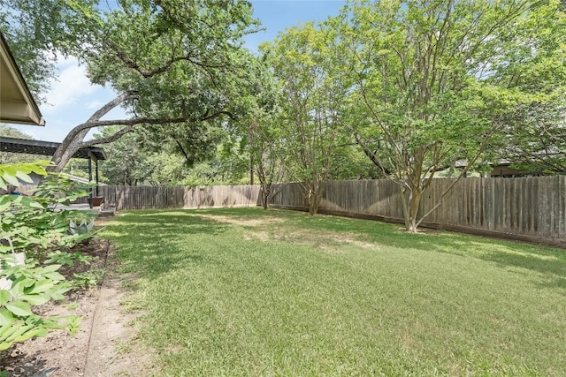 2502 Spring Creek Dr, Austin, TX 78704 - view of yard