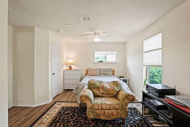 900 Lily Pad, Leander, TX 78641 - bedroom with multiple windows, wood finished floors, ceiling fan, baseboards, and recessed lighting