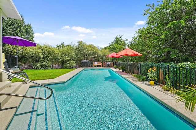 900 Lily Pad, Leander, TX 78641 - view of swimming pool