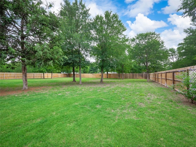 116 Naalehu Ct, Bastrop, TX 78602 - view of yard