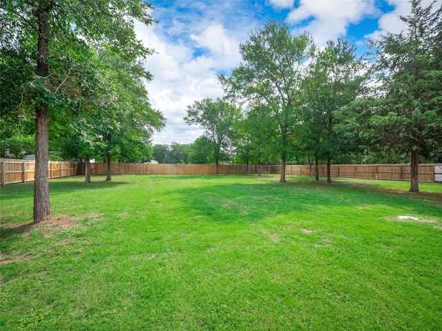 116 Naalehu Ct, Bastrop, TX 78602 - view of yard